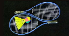 BIGminton image